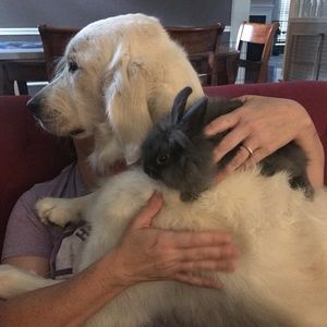 Meet your Posher, Emily